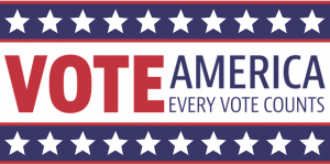 Voting Infographic